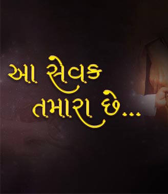 Aa sevak tamara chhe test one tow